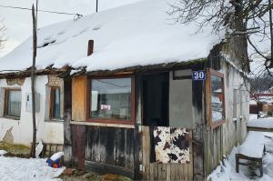 NA KUĆNOM BROJU 30 ŽIVI BAKA ZORKA – POTREBNI STE JOJ #154